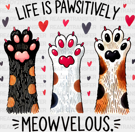 Life Is Pawsitively Meowvelous - Cats Iron On Dtf Transfer Adult Unisex S & M (10’’) / Dark