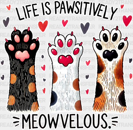 Life Is Pawsitively Meowvelous - Cats Iron On Dtf Transfer Adult Unisex S & M (10’’) / Light