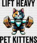 Lift Heavy Pet Kittens - Gym DTF Heat Transfer ready2transfer Black