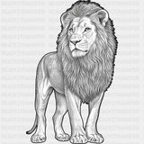Lion B&W - Animals DTF Transfers - Adult Unisex - S & M (10’’) / Dark Color Design (See Imaging)