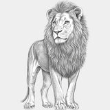 Lion B&W - Animals DTF Transfers - Adult Unisex - S & M (10’’) / Light Color Design (See Imaging)