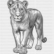 Lioness B&W - Animals DTF Transfers - Adult Unisex - S & M (10’’) / Dark Color Design (See Imaging)