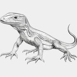 Lizard B&W - Animals DTF Transfers - Adult Unisex - S & M (10’’) / Light Color Design (See Imaging)