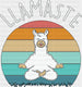 LLAMASTE Retro Sunset Design - Yoga DTF Heat Transfer ready2transfer Black