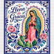 Llena de Gracia - Hispanic Heritage Month DTF Transfers