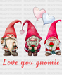 Love You Gnomie Dtf Transfer