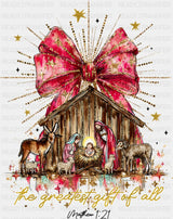 Matthew 1:21 - Christmas DTF Transfer Adult Unisex - S & M (10’’) / Dark Color Design (See Imaging)