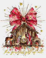 Matthew 1:21 - Christmas DTF Transfer Adult Unisex - S & M (10’’) / Light Color Design (See Imaging)