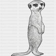 Meerkat B&W - Animals DTF Transfers - Adult Unisex - S & M (10’’) / Dark Color Design (See Imaging)