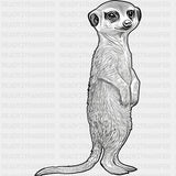 Meerkat B&W - Animals DTF Transfers - Adult Unisex - S & M (10’’) / Dark Color Design (See Imaging)