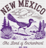 New Mexico The Land Of Enchantment - States & Cities DTF Transfer