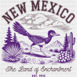 New Mexico The Land Of Enchantment - States & Cities DTF Transfer ready2transfer