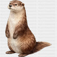 North American River Otter - Animals DTF Transfers