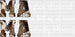 Often Stressed DTF Transfer ready2transfer White