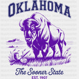 Oklahoma The Sooner State - States & Cities DTF Transfer ready2transfer