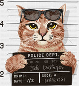Orange Cat Mugshot - Cats DTF Transfer