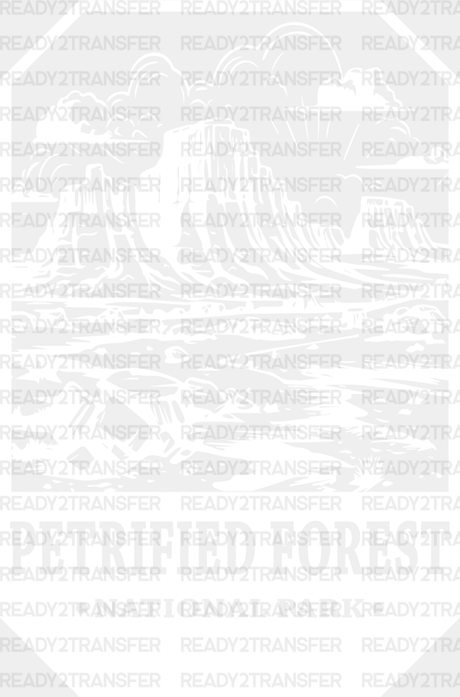 Petrified Forest National Park Design - Parks Dtf Transfers Adult Unisex S & M (10’) / White