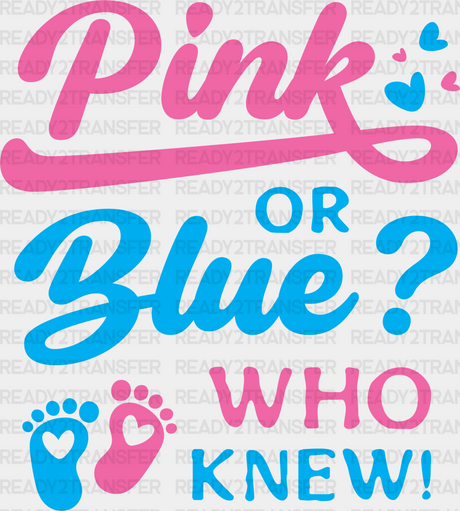 Pink Or Blue Who Knew - Gender Reveal Dtf Transfer