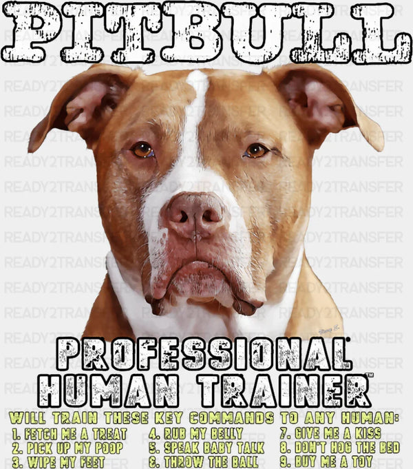 Pitbull Professional Human Trainer - Dogs DTF Transfer