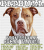 Pitbull Professional Human Trainer - Dogs DTF Transfer