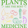 Plants Are The Best Medicine - Vegan DTF Transfers