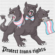 Protect Trans Rights - Transgender DTF Transfers ready2transfer Dark Color Design (See Imaging)