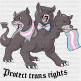 Protect Trans Rights - Transgender DTF Transfers ready2transfer Dark Color Design (See Imaging)