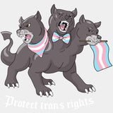 Protect Trans Rights - Transgender DTF Transfers ready2transfer Light Color Design (See Imaging)