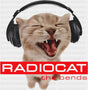 Radiocat The Bends - Cats DTF Transfer