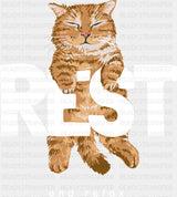 Rest And Relax - Cats DTF Transfer