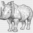 Rhinoceros B&W - Animals DTF Transfers - Adult Unisex - S & M (10’’) / Dark Color Design (See Imaging)