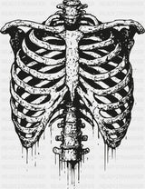 Ribcage B&W - Halloween DTF Transfer Adult Unisex - S & M (10’’) / Dark Color Design (See Imaging)