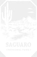 Saguaro National Park Design - National Parks DTF Transfers ready2transfer White