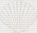 Seashell Summer DTF Transfer ready2transfer White