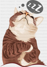 Sleeping Cat - Cats DTF Transfer