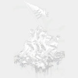 Soldiers Putting Up US Flag - Army DTF Transfers - Adult Unisex - S & M (10’’) / Light Color Design (See Imaging)