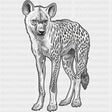 Spotted Hyena B&W - Animals DTF Transfers - Adult Unisex - S & M (10’’) / Dark Color Design (See Imaging)