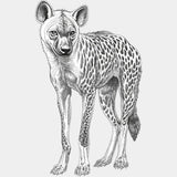 Spotted Hyena B&W - Animals DTF Transfers - Adult Unisex - S & M (10’’) / Light Color Design (See Imaging)