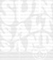 Sun Salt Sand Summer DTF Transfer ready2transfer White
