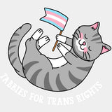 Tabbies For Trans Rights - Transgender DTF Transfers ready2transfer Light Color Design (See Imaging)