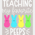 Teaching My Favorite Peeps Easter DTF Heat Transfer, Easter Design - ready2transfer