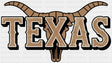 Texas Bull Skull - States & Cities DTF Transfer