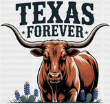 Texas Forever Bull Design - States & Cities DTF Transfer