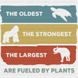 The Oldest The Strongest The Largest - Vegan DTF Transfers
