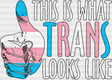 This Is What Trans Looks Like - Transgender Iron On Dtf Transfer Adult Unisex S & M (10’’) /