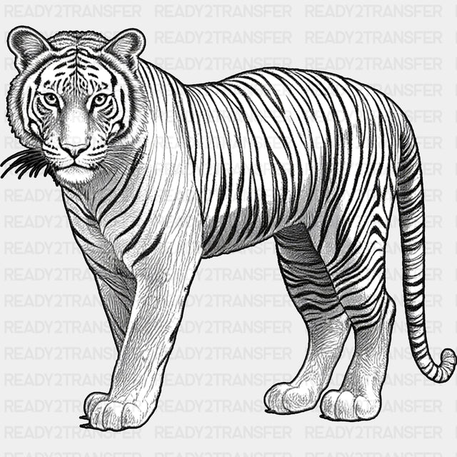 Tiger B&W - Animals DTF Transfers - Adult Unisex - S & M (10’’) / Dark Color Design (See Imaging)