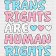Trans Rights Are Human Rights - Transgender DTF Transfers ready2transfer Dark Color Design (See Imaging)