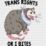 Trans Rights Or I Bites - Transgender DTF Transfers ready2transfer Dark Color Design (See Imaging)