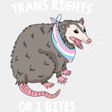 Trans Rights Or I Bites - Transgender DTF Transfers ready2transfer Light Color Design (See Imaging)