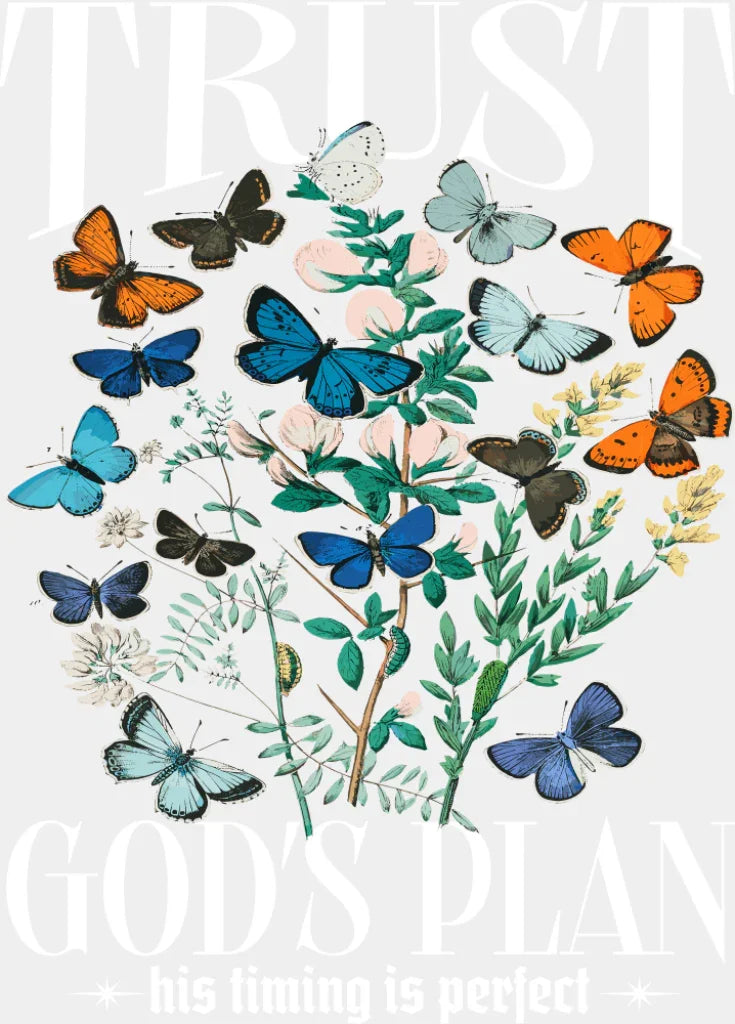 Trust God’s Plan His Timing Is Perfect - Christianity DTF Transfer Adult Unisex - S & M (10’’) / Light Color Design